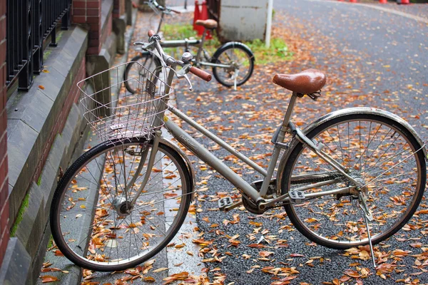 Велосипеды в университете Токио — стоковое фото