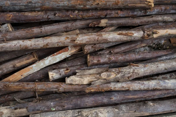 Many stacked raw woods for construction — Stock Photo, Image