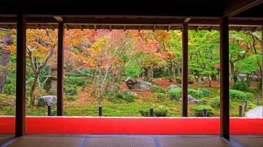 Sonbahar Japon bahçe Enkoji Kyoto