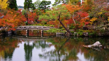 Eikando Tapınağı, Kyoto sonbahar Bahçe