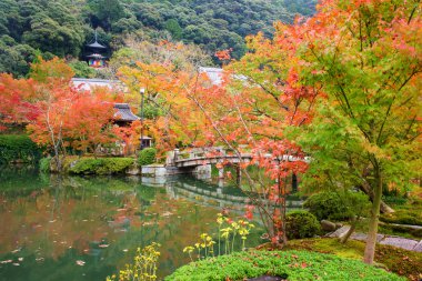 Güzel sonbahar Bahçe ve pagoda Eikando, Kyoto adlı