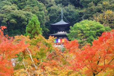 Tahoto Pagoda Eikando Tapınağı, Kyoto sonbahar yaprakları ile