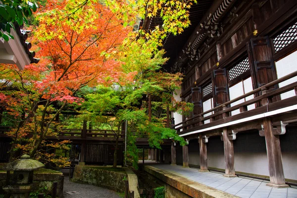 Colores de Otoño en el Templo Eikando en Kyoto — Foto de Stock