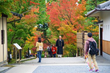 Sonbahar renkle Eikando Tapınağı'nda Japon keşiş