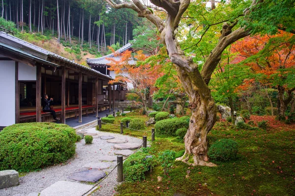 Mujer en el templo de Enkoji para disfrutar del jardín de otoño —  Fotos de Stock