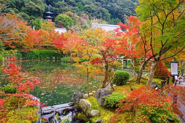 Jardín de follaje otoñal y pagoda en Eikando, Kyoto — Foto de Stock