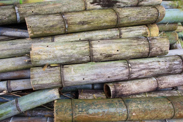 Stor gammal bambu bakgrund — Stockfoto