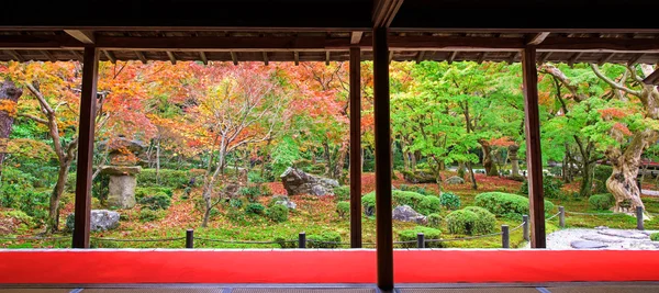 Jardín de otoño escénico en el templo de Enkoji, Kyoto —  Fotos de Stock