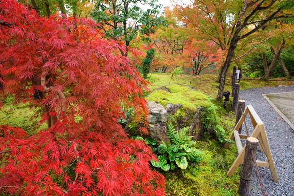 Na podzim listy na Eikando Temple, Kjóto — Stock fotografie