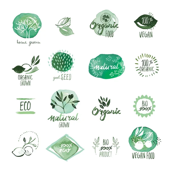 Set de alimentos orgánicos dibujados a mano pegatinas de acuarela e insignias — Vector de stock