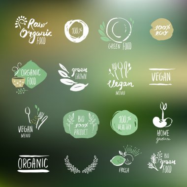 Set of hand drawn style stickers and elements for organic food and drink clipart