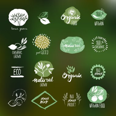 Set of hand drawn style stickers and badges for organic food and drink clipart