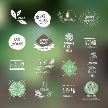 Set of hand drawn style labels and elements for organic food and drink clipart