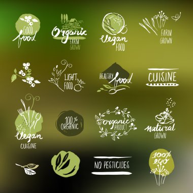 Set of hand drawn style labels and badges for organic food and drink clipart