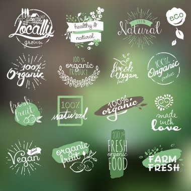 Hand drawn badges and elements collection for organic food and drink clipart