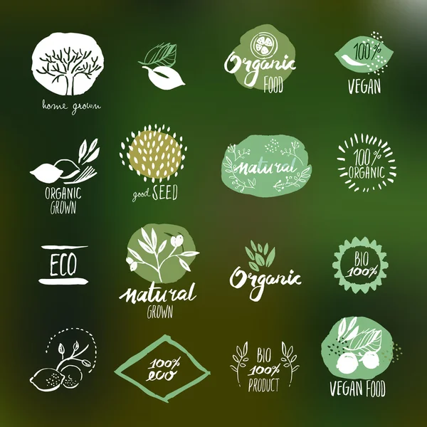 Set de pegatinas e insignias de estilo dibujado a mano para alimentos y bebidas ecológicas — Vector de stock