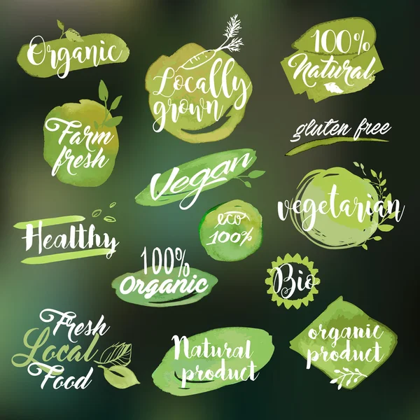 Conjunto de etiquetas y distintivos dibujados a mano en acuarela para alimentos y bebidas ecológicas — Vector de stock