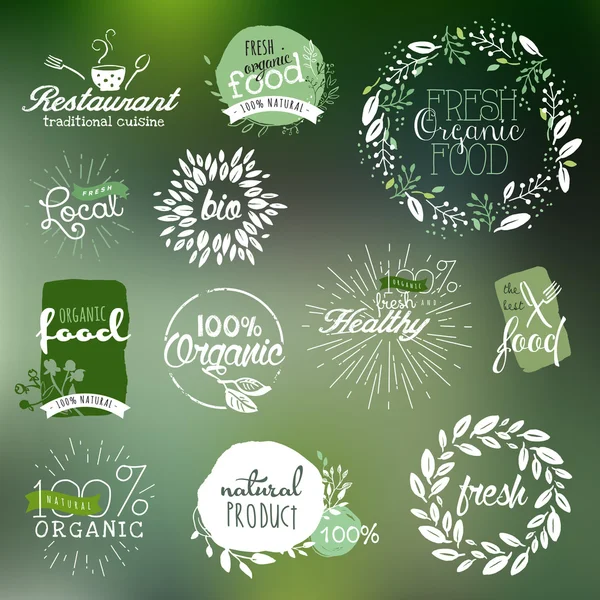 Hand drawn labels and elements collection for organic food and drink — Stock Vector