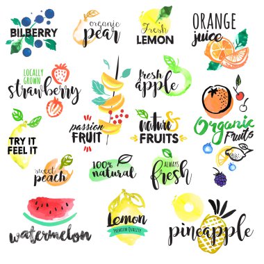 Elle çizilmiş suluboya Etiketler ve stickerlar meyve kümesi