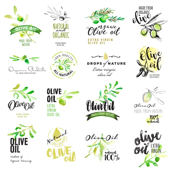 Conjunto de etiquetas de acuarela dibujadas a mano y elementos de aceite de oliva — Vector de stock