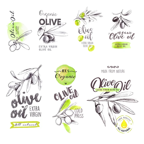 Uppsättning av hand dras akvarell etiketter och skyltar av olivolja — Stock vektor