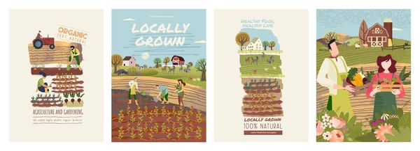 Agriculture Biologique Agriculture Jardinage Série Illustrations Vectorielles Pour Affiches Couvertures — Image vectorielle