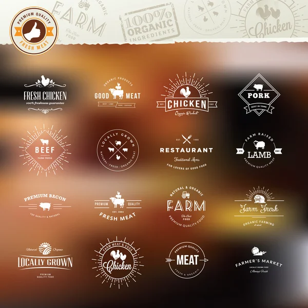 Set of vintage style elements for labels and badges for meat, fresh organic products, on the stylized background — Stock Vector