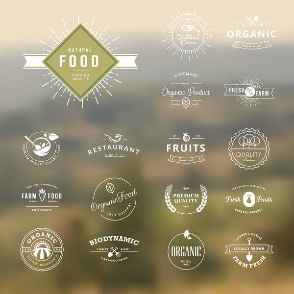 Набор элементов винтажного стиля для этикеток и значков для натуральных продуктов питания и напитков, органических продуктов, биодинамического сельского хозяйства, на природном фоне
