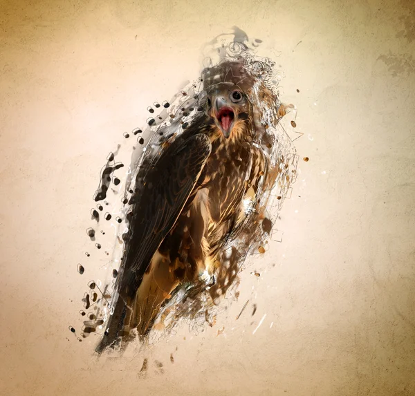 Falcon, abstract dierlijke begrip — Stockfoto