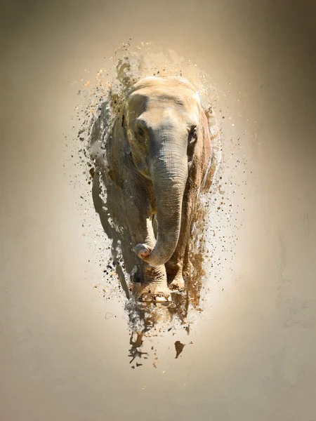 Elefante, concepto animal abstracto . — Foto de Stock