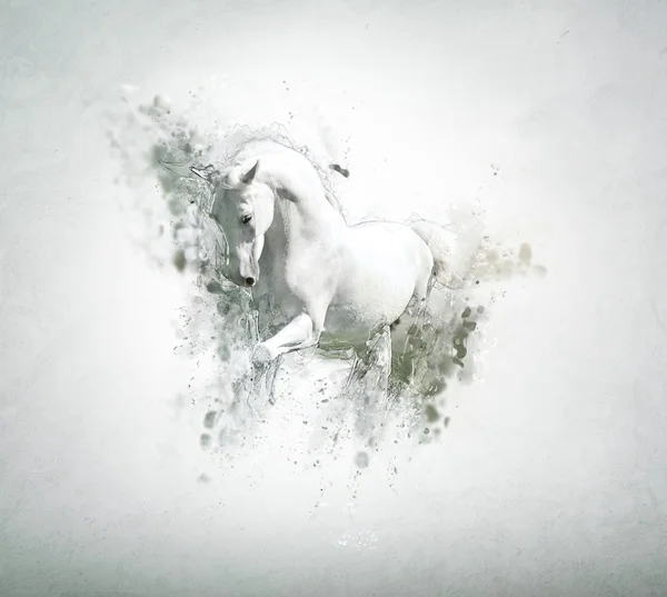 Sierlijke white horse, in abstracte dierlijke concept. — Stockfoto
