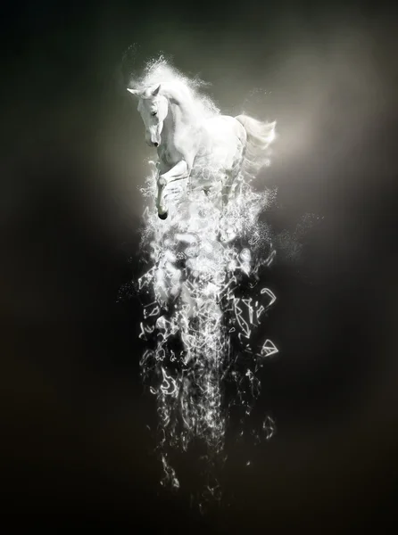 Caballo blanco corriendo, concepto animal abstracto sobre fondo negro — Foto de Stock
