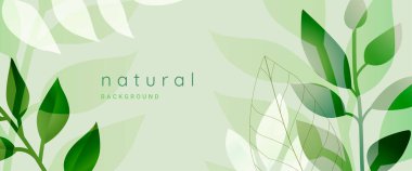 Doğal arka plan. Grafik ve web tasarımı için vektör illüstrasyon, sosyal medya, iş ve pazarlama materyali. Doğal ve organik ürünler için konsept, güzellik ve kozmetik, moda, çevre.