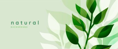 Doğal arka plan. Grafik ve web tasarımı için vektör illüstrasyon, sosyal medya, iş ve pazarlama materyali. Doğal ve organik ürünler için konsept, güzellik ve kozmetik, moda, çevre.