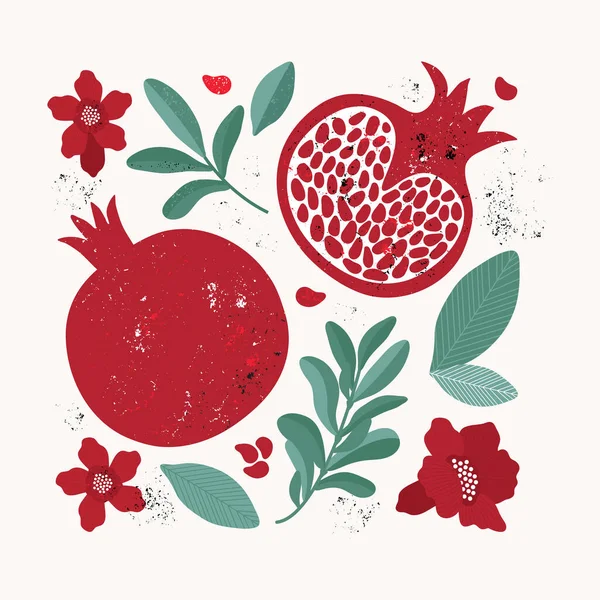 Conjunto Elementos Diseño Estilo Vintage Granada Roja Hojas Flores Fruta — Vector de stock