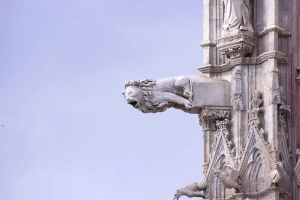 Gargoyles Sienas katedral Stockfoto