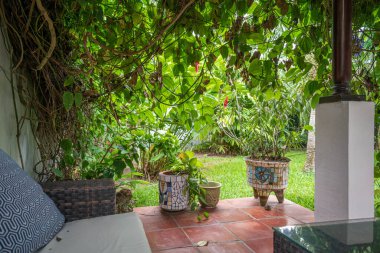 TLACOTALPAN, VERACRUZ, MEXICO - 21 AĞUSTOS 2021: Tlacotalpan, Veracruz, Meksika 'daki geleneksel evin güzel arka bahçesi