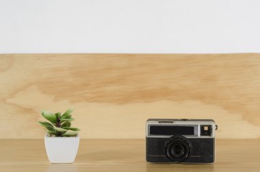 Küçük bitki ve vintage fotoğraf makinesi