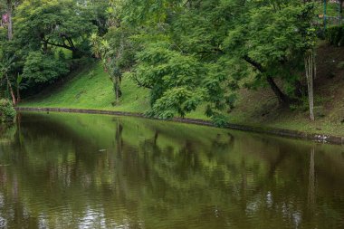 Los Lagos 'ta sakin bir göl manzarası Xalapa, Veracruz' da canlı yeşil ağaçlar ve çimenli bankalar su yüzeyine mükemmel bir şekilde yansıyor.
