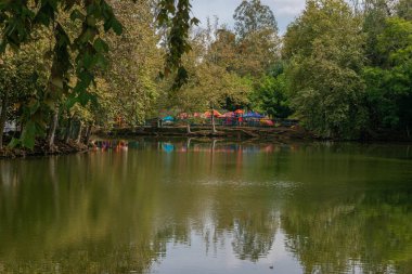 Xalapa, Veracruz, Meksika 'daki Los Lagos parkındaki gür ağaçlarla çevrili sakin bir göl manzarası..