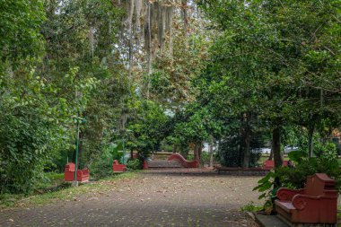 Parque de la Senoria Xalapa, Veracruz 'da Meksika talavera kiremitleriyle süslenmiş klasik kırmızı beton bir bank, yemyeşil bir yemliğin ortasında huzur içinde duruyor.