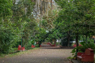Parque de la Senoria Xalapa, Veracruz 'da Meksika talavera kiremitleriyle süslenmiş klasik kırmızı beton bir bank, yemyeşil bir yemliğin ortasında huzur içinde duruyor.