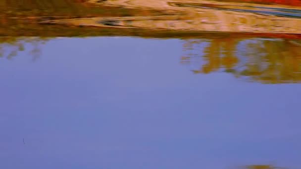 Flujo de agua en la cascada, ambiente tranquilo, paneo — Vídeos de Stock