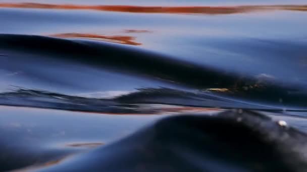 Eau qui coule à la cascade, atmosphère calme, boucle MOTION LENT — Video