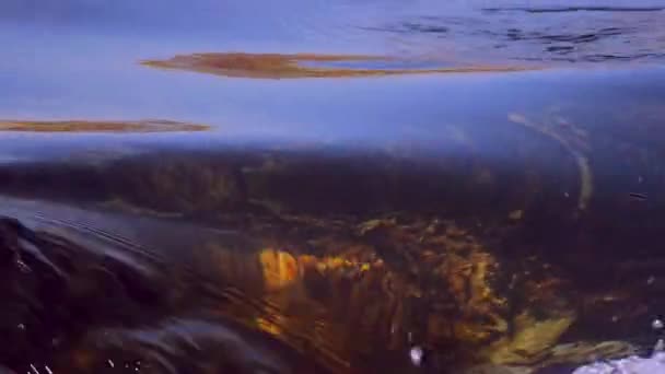 Tekoucí vody u vodopádu, klidné atmosféře, opakování — Stock video