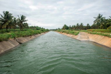 Hindistan cevizi çiftliği üzerinden su tedarik kanalı