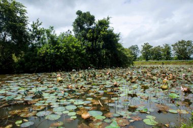 Cennet manzarası - beyaz bulutlu mavi gökyüzü