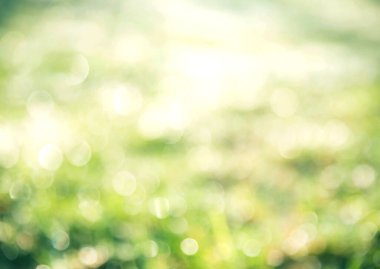 soyut yeşil Noel arkaplanı