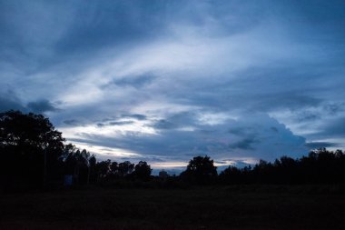 Ormanın üzerinde güzel bir gün doğumu