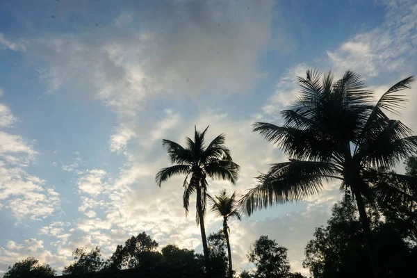 Matahari Terbit Yang Indah Atas Hutan — Stok Foto